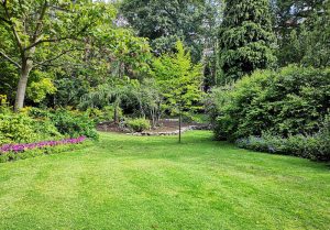Optimiser l'expérience du jardin à Chevigney-les-Vercel